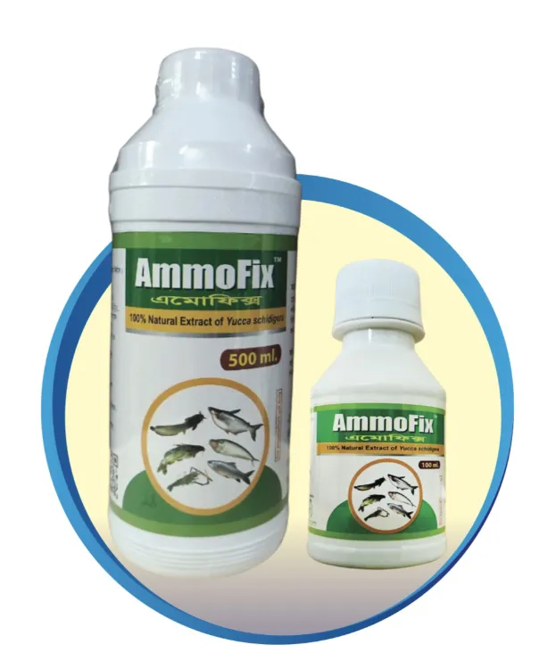 Ammo Fix