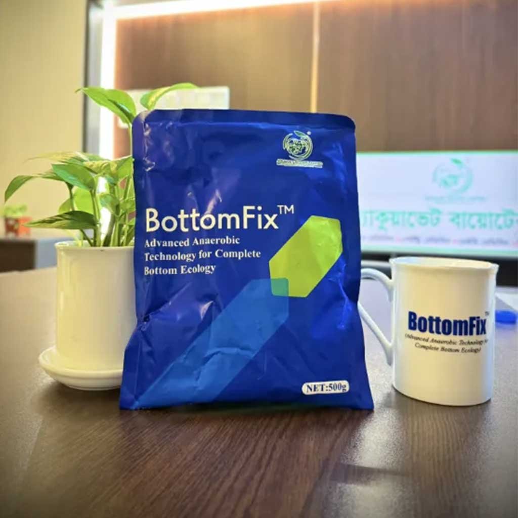 BottomFix
