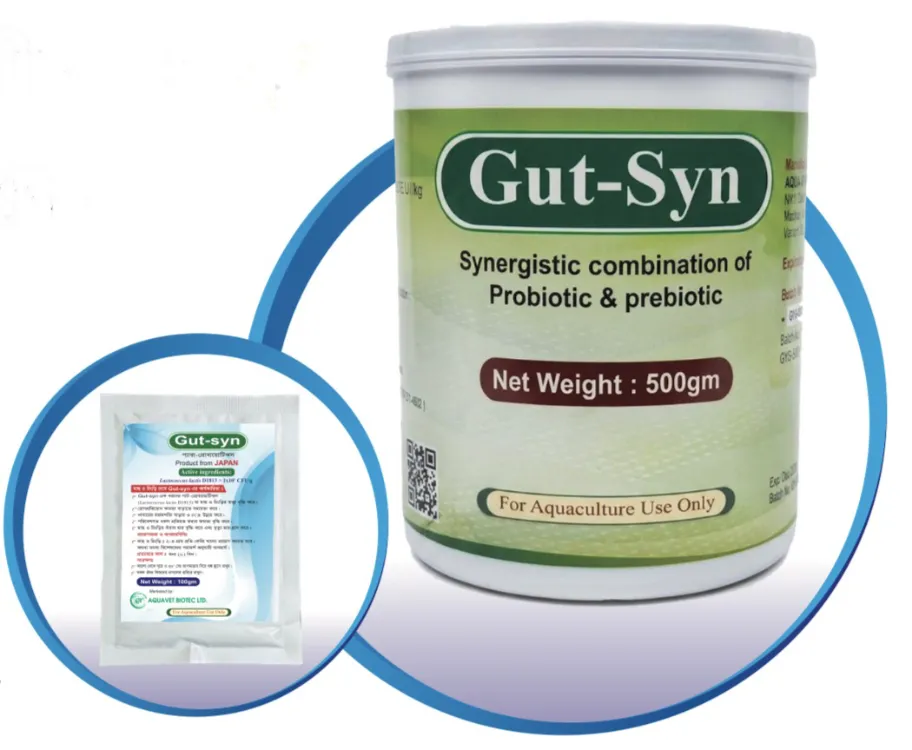Gut-Syn