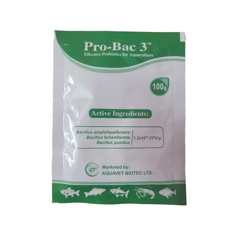 Pro Bac 3